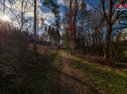 Prodej - pozemek, trvalý travní porost, 4 692 m²