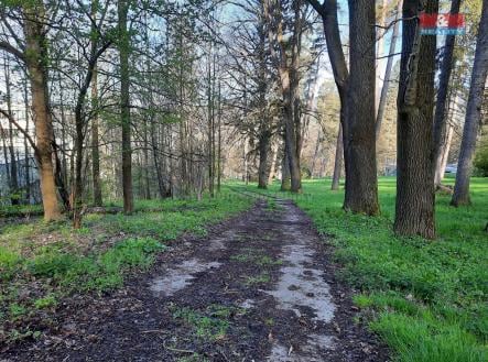 Prodej - pozemek, ostatní, 3 130 m²