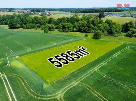 Prodej - pozemek, zemědělská půda, 5 585 m²