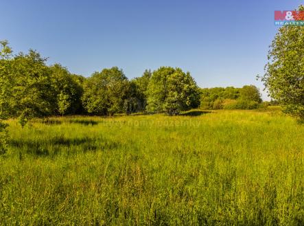 Prodej pozemku, zemědělská půda, 124 828 m²