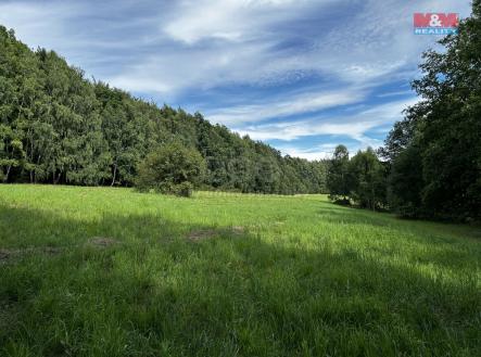 Prodej - pozemek, trvalý travní porost, 7 691 m²