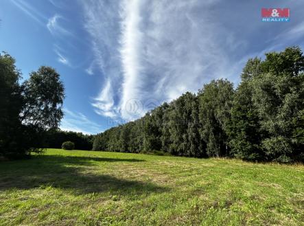 Prodej - pozemek, trvalý travní porost, 7 691 m²