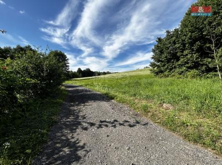 Prodej - pozemek, trvalý travní porost, 7 691 m²