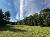 Prodej pozemku, trvalý travní porost, 7 691 m²