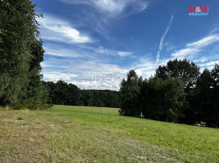 Prodej pozemku, trvalý travní porost, 7 691 m²