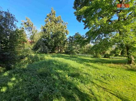 Prodej - pozemek, zahrada, 719 m²