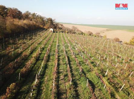 Prodej - pozemek, zemědělská půda, 53 805 m²