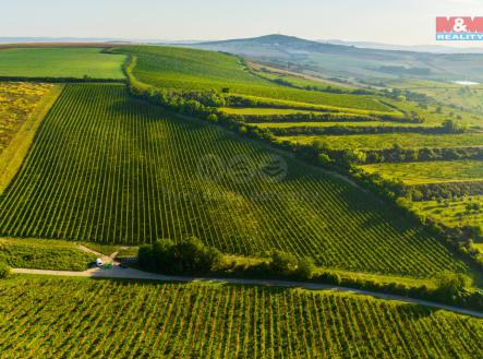 Prodej - pozemek, zemědělská půda, 56 699 m²