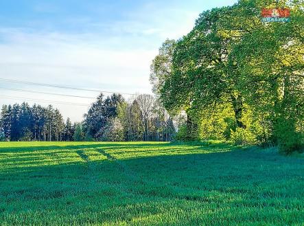 Prodej - pozemek, zemědělská půda, 9 603 m²