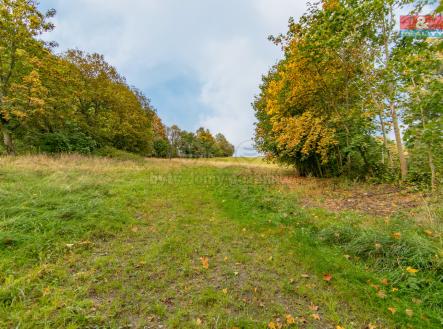 Prodej - pozemek pro bydlení, 2 182 m²