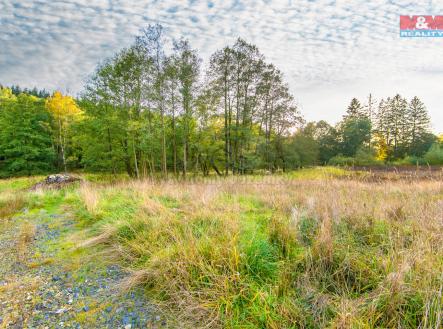 Prodej - pozemek pro bydlení, 2 186 m²