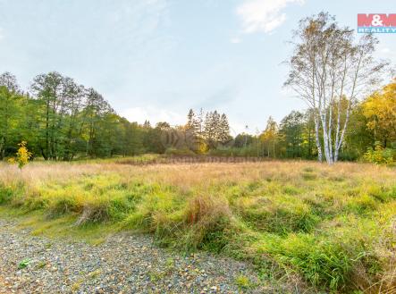 Prodej - pozemek pro bydlení, 2 515 m²