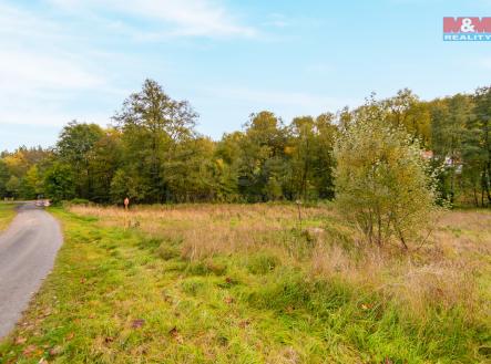 Prodej - pozemek, trvalý travní porost, 1 446 m²