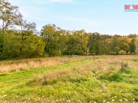 Prodej - pozemek, trvalý travní porost, 1 446 m²