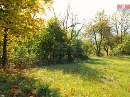 Prodej - pozemek, trvalý travní porost, 3 251 m²