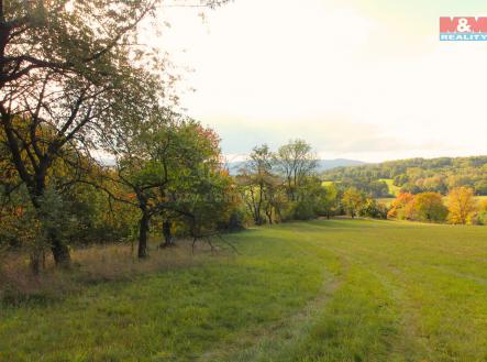 Prodej - pozemek, trvalý travní porost, 3 251 m²