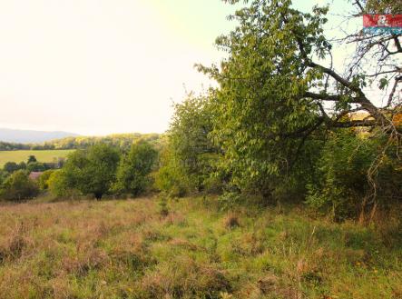 Prodej - pozemek, trvalý travní porost, 3 251 m²