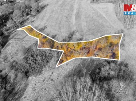 Prodej pozemku, trvalý travní porost, 3 251 m²