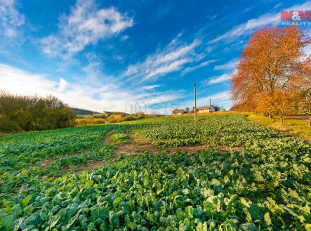 Prodej pozemku, trvalý travní porost, 3 850 m²