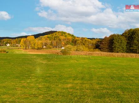 Prodej - pozemek, trvalý travní porost, 13 224 m²