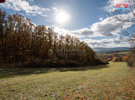 Prodej - pozemek, trvalý travní porost, 1 672 m²