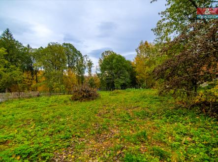 Prodej - pozemek pro bydlení, 3 564 m²