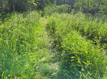 Prodej pozemku, ostatní, 13 432 m²