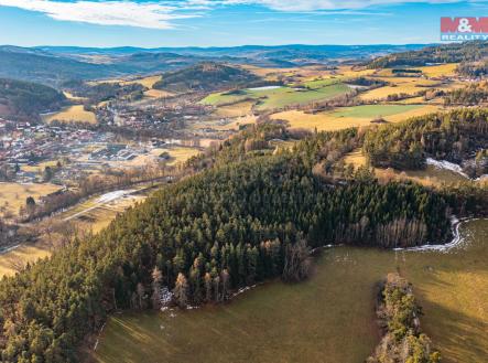 Prodej - pozemek, les, 13 448 m²