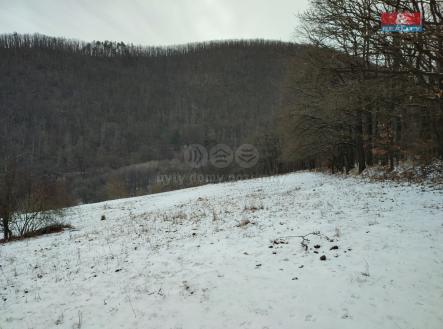 Prodej - pozemek, trvalý travní porost, 3 521 m²