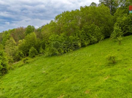 Prodej - pozemek, trvalý travní porost, 2 600 m²