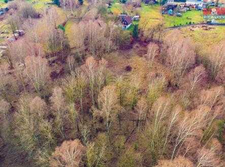 Prodej pozemku, trvalý travní porost, 6 306 m²