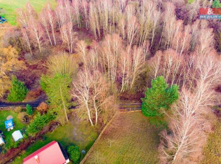 Prodej pozemku, trvalý travní porost, 6 306 m²