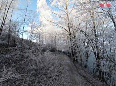 Prodej - pozemek, zahrada, 2 141 m²