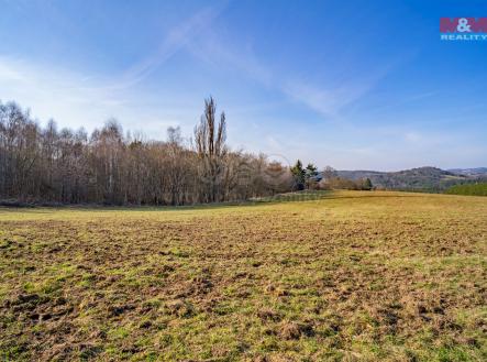 Prodej - pozemek, trvalý travní porost, 9 771 m²