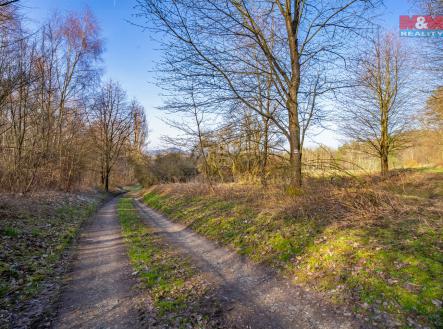 Prodej - pozemek, trvalý travní porost, 9 771 m²