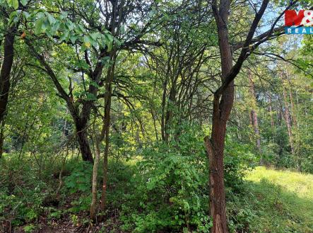 Prodej chaty/rekreačního objektu, 86 m²