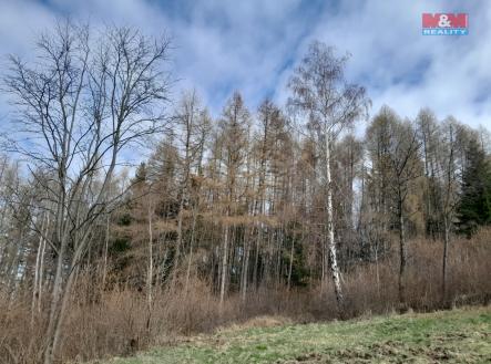 Prodej - pozemek, les, 5 083 m²