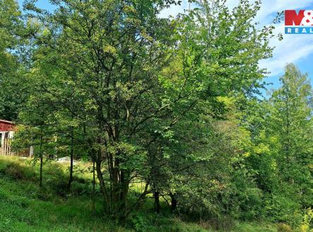 Prodej pozemku pro bydlení, 10 875 m²