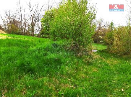 Pronájem - pozemek, trvalý travní porost, 4 032 m²