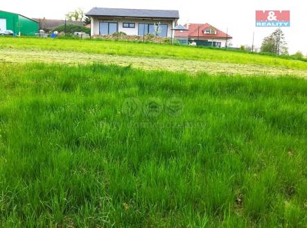Pronájem - pozemek, trvalý travní porost, 4 032 m²