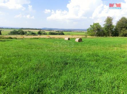 Prodej - pozemek pro bydlení, 3 885 m²