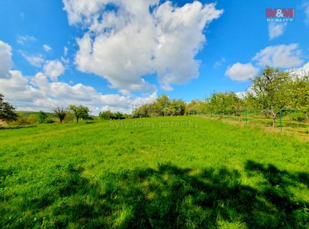 Prodej - pozemek, zahrada, 3 447 m²