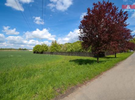 Prodej pozemku pro bydlení, 3 195 m²