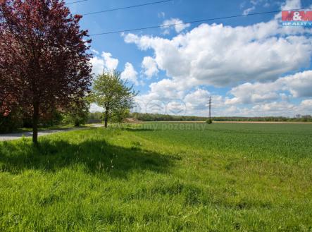 Prodej pozemku pro bydlení, 3 195 m²
