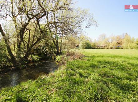 Prodej - pozemek, trvalý travní porost, 8 133 m²