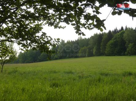 Prodej - pozemek, trvalý travní porost, 98 220 m²