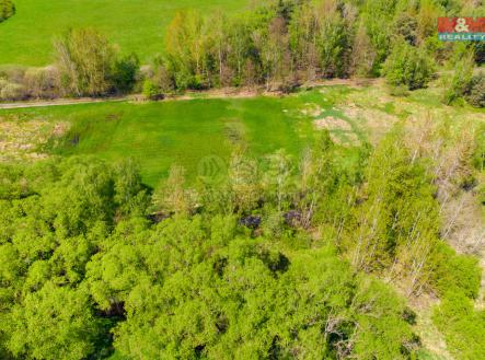 Prodej - pozemek, trvalý travní porost, 3 874 m²