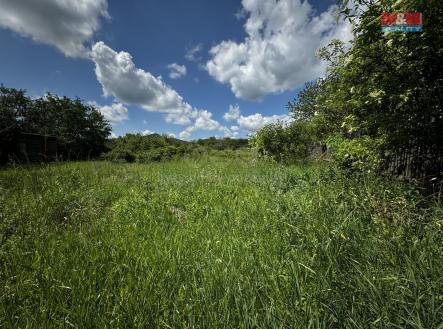 Prodej - pozemek pro bydlení, 3 148 m²