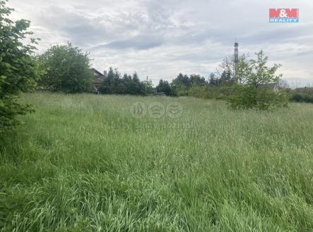 Pronájem - pozemek, trvalý travní porost, 4 001 m²