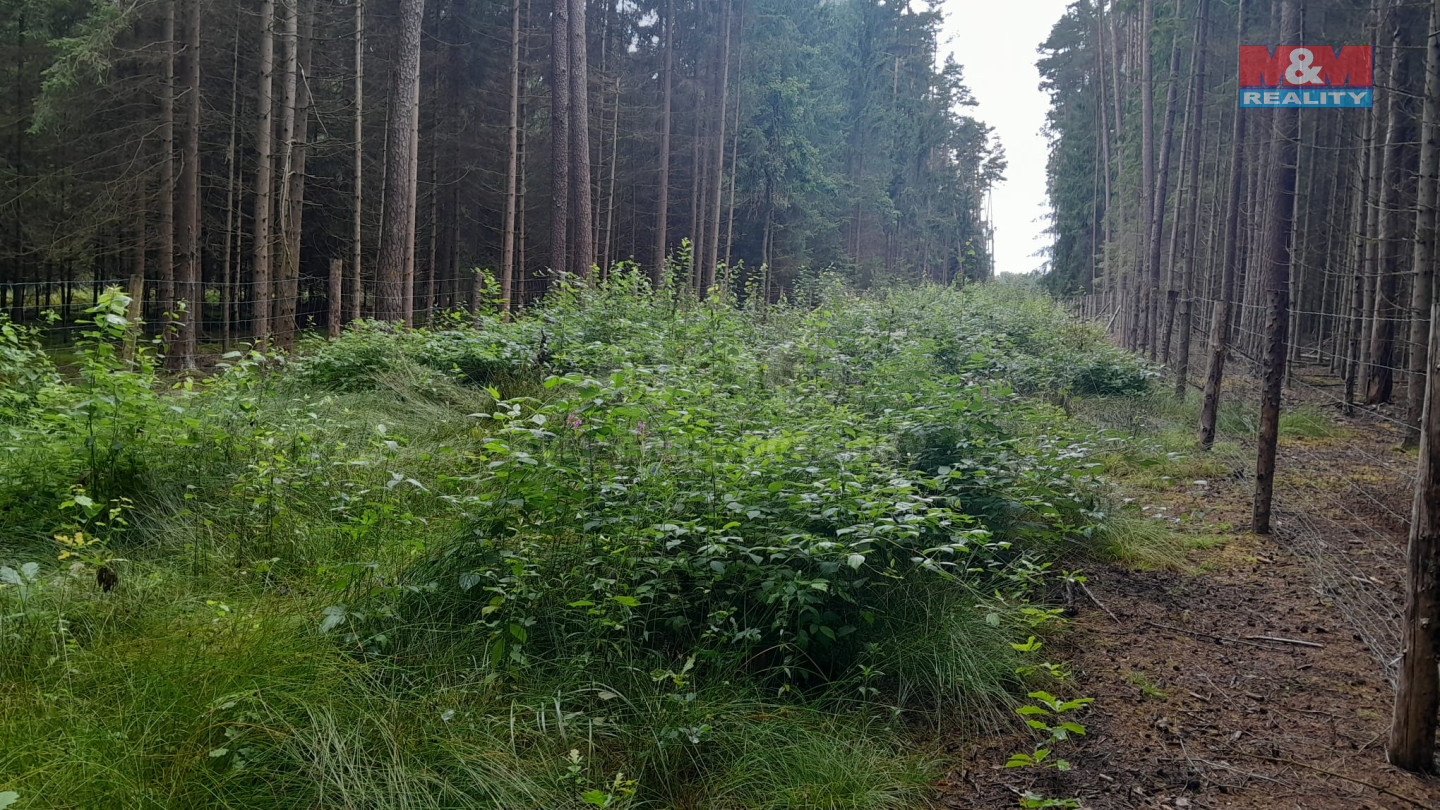 Obrázek WhatsApp, 2025-07-30 v 09.44.15_6b54edb8.jpg